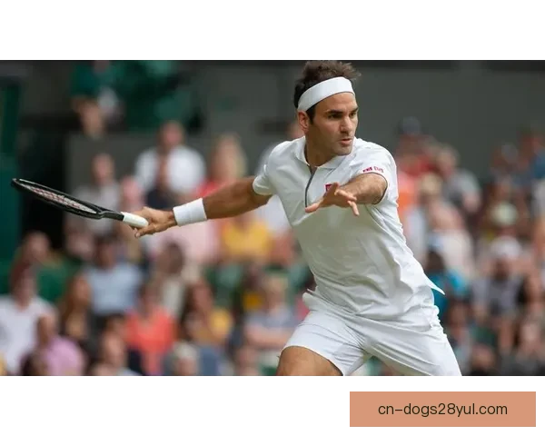 梅德韦杰夫回勇冲击澳网首冠路