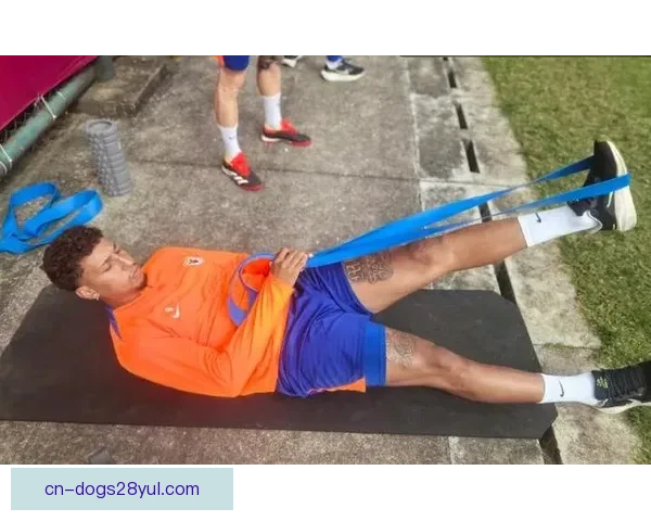 泰山热身赛惨败龙仁年轻军练兵