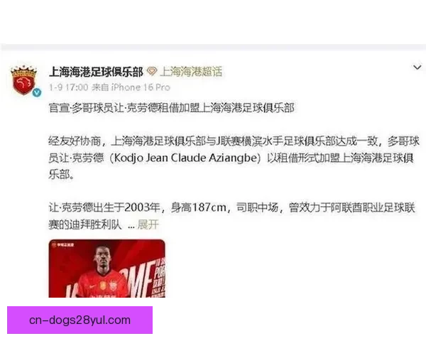 杨希归队海港训练中卫引援明朗