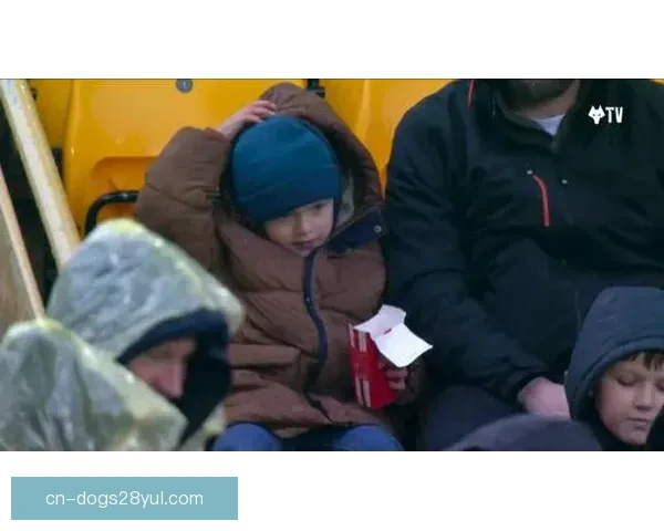 狼队偷鸡小球迷父亲成偷鸡块贼