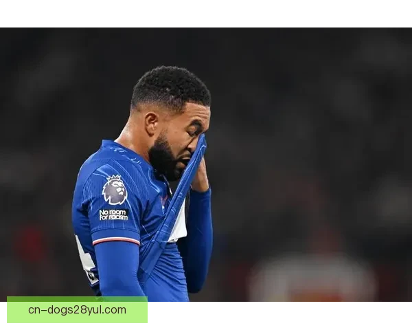 太阳报称曼联弃巡回保欧冠资格