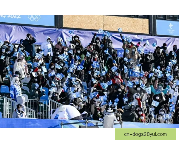 冬奥三面红旗梦碎疑黑哨风波起