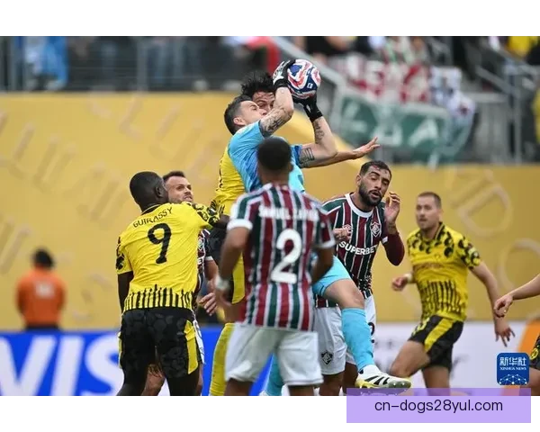 弗鲁米嫩塞女足再致敬维尼修斯