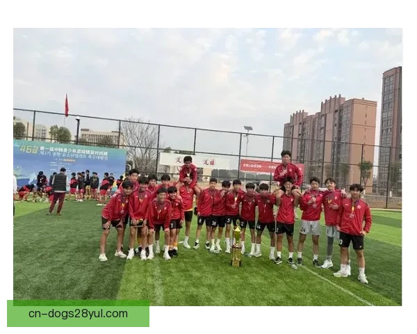 恒大足校追偿违约败诉两起纠纷