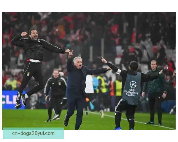 本菲卡视频驳皇马质疑真相曝光