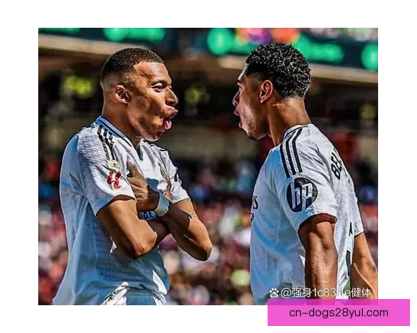 皇马西甲八连胜冲九连纪录新高 皇马西甲八连胜冲九连纪录新高