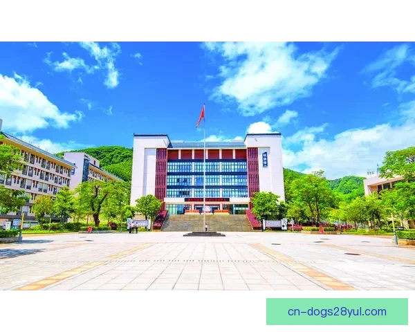 立足今日奋进赢未来不再念过往